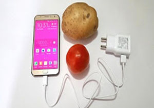 فیلم/ آیا غذایی که می‌خوریم برق دارد؟! 