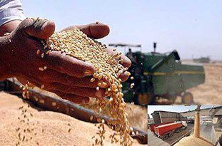 قیمت تضمینی محصولات کشاورزی اعلام شد