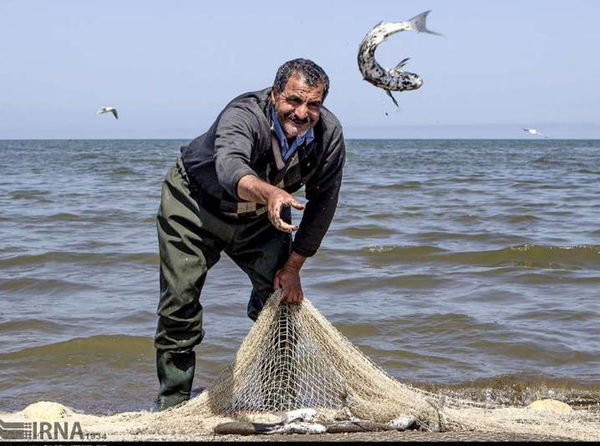 رشد 18 درصدی صید ماهیان استخوانی در استان
