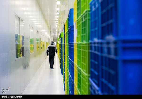 سرمایهگذاری ۲۷۷ میلیارد تومانی در صنعت گلستان