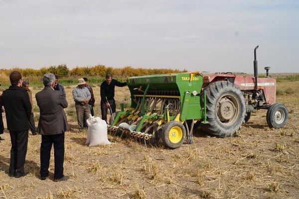 گلستان رتبه سوم کشور در کشت مکانیزه محصولات پاییزه است