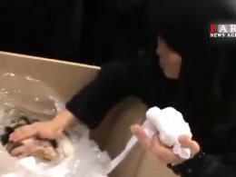 دانلود/ لحظه دیدار مادر شهید مهدی صابری با پیکر فرزندش