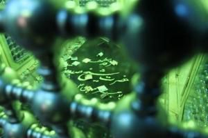 جسد عالمی که بعد از ۹۰۰ سال سالم بود