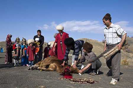 آداب و رسوم ترکمن ها در عید قربان+تصاویر