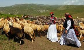 میزان تامین گوشت کشور توسط عشایر