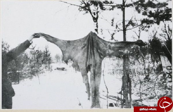 وحشیانه‌ترین روش‌های اعدام در تاریخ جهان +تصاویر