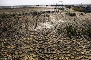 پیامد بی‎توجهی به خلیج گرگان، ورود ریزگردها به گلستان خواهد بود