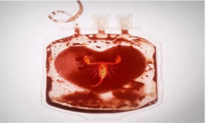 سوغاتی تلخ فرانسه که جان انسان ها را گرفت! +تصاویر