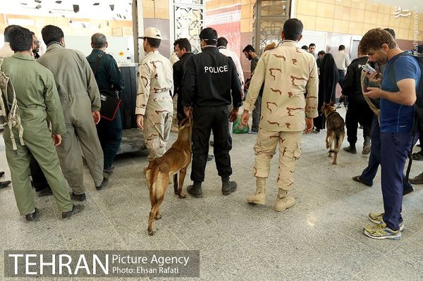 عکس/ سگ‌های بمب‌یاب در مرز شلمچه