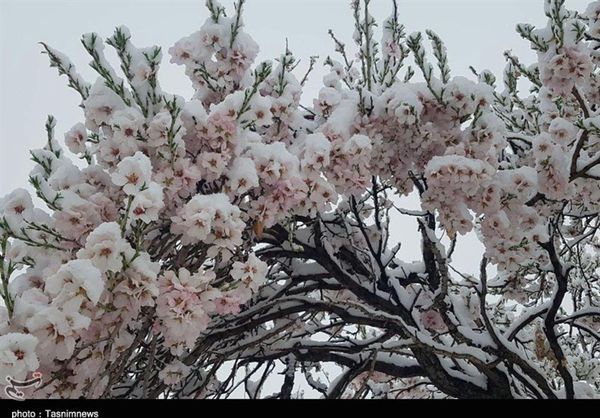 هشدارهای هواشناسی به کشاورزان تا ۱۵ اسفند
