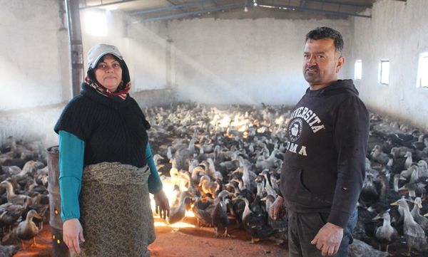 جوانان جویای کار وارد عرصه های اقتصاد مقاومتی شوند+تصاویر