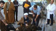 عکس/ آیت‌الله جوادی در کنار ذبح قربانی شده