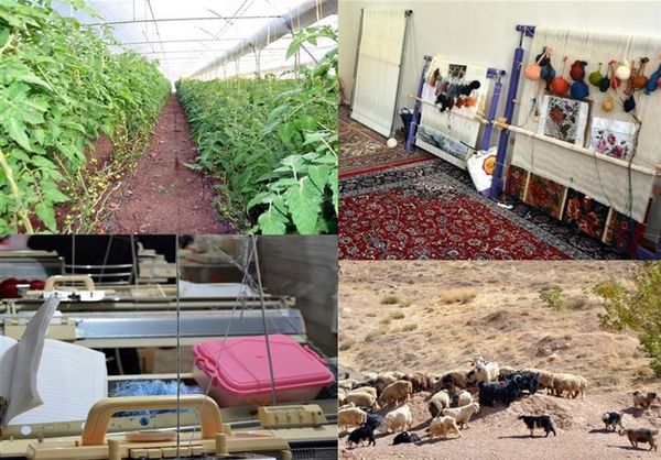 اشتغالزایی ۲ هزار نفری کرونا در بخش مشاغل خانگی