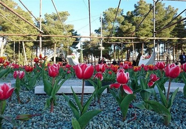 مزار شهدای مدافع حرم در گلستان شهدای اصفهان غبارروبی می‌شود