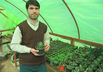 تجلی اقتصاد مقاومتی بر پشت بام خانه جوان مینودشتی + تصاویر