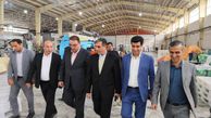 بازدید معاون وزیر صمت از واحد های تولیدی شهرک صنعتی سرخنکلاته