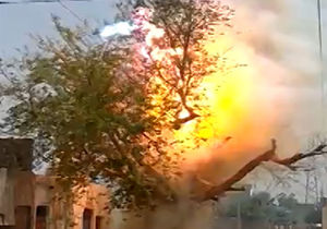 فیلمی دیدنی از آتش گرفتن درخت در اثر عبور برق 