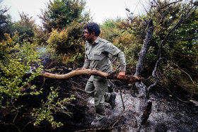 فضای سبز کنونی زیبنده گلستان نیست