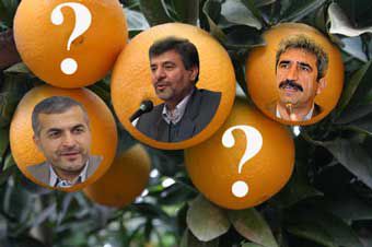 مردود شدن سازمان جهاد کشاورزی گلستان در توزیع میوه شب عید