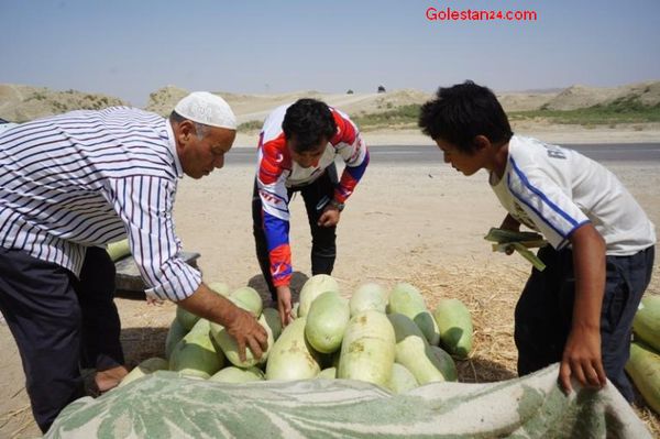 برداشت هندوانه و خربزه در استان گلستان