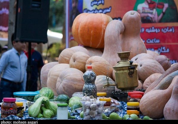 برگزاری جشنواره "کدو" در غرب گلستان بهروایت تصویر