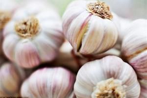 مزایای فوق العاده سیر برای کودکان