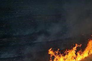  مرگ تدریجی خاک با تداوم آتش زدن گندم‎زارها بعد از برداشت