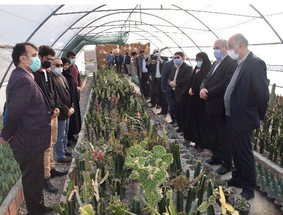 گلخانه تخصصی کاکتوسهای زینتی دانشگاه منابع طبیعی گرگان افتتاح شد