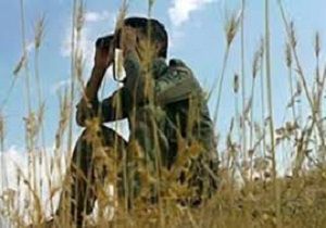 محیط بان گلستانی هدف گلوله شکارچی غیرجاز قرار گرفت