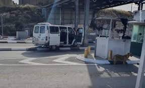 فیلم/ حمله استشهادی در کرانه باختری
