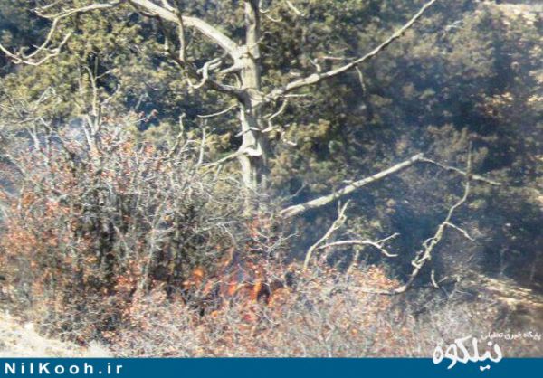 مهار آتش سوزی پارک ملی گلستان +‌ تصاویر