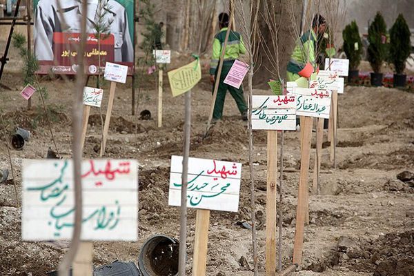 4 هزار نهال به نام 4 هزار شهید گلستان غرس میشود/ از برگزاری کنگره ملی «شوق دوباره» تا دیدار با «علمداران حماسه»