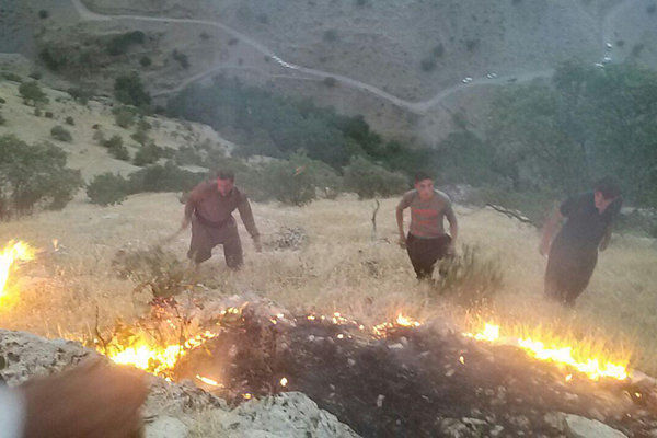 وقوع چهار آتشسوزی در شهرستانهای گلستان