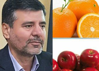 قیمت میوه طرح تنظیم بازار و زمان توزیع