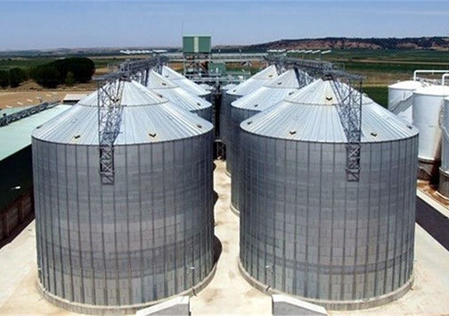 جرم اقتصادی در یکی از سیلوهای استان