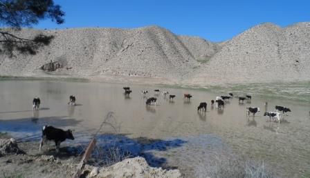 روستای 700 نفره ی بدون آب شرب