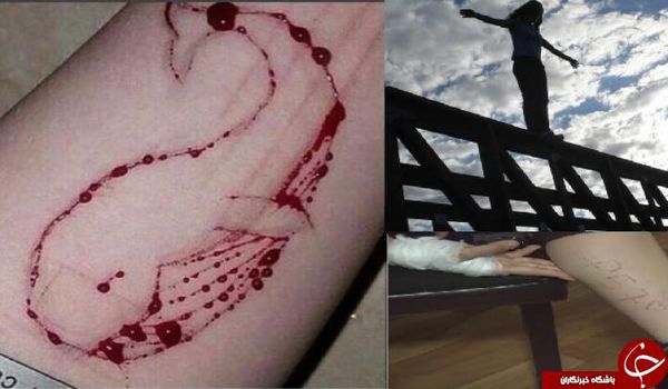 50 مرحله تا مرگ/ جزئیات کامل بازی نهنگ آبی یا خانه ساکت + تصاویر و فیلم