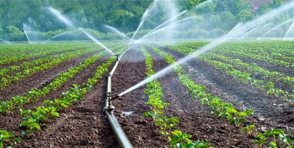 14 هزار هکتار از اراضی گلستان به سیستم آبیاری نوین تجهیز میشوند