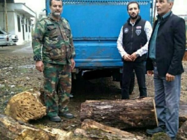 کشف چوب قاچاق در رامیان

