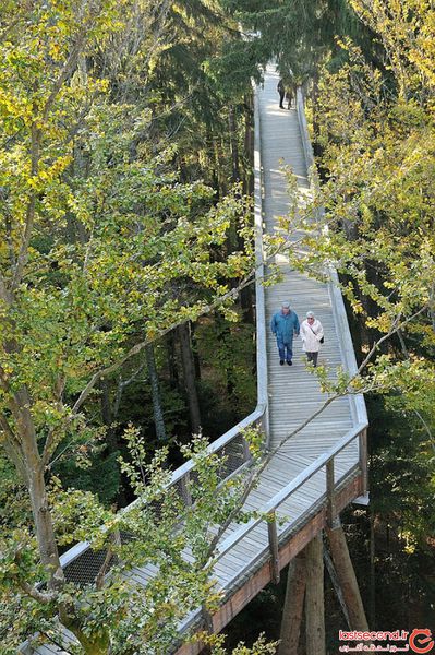 تصاویر / طولانی ترین مسیر پیاده روی در آسمان!