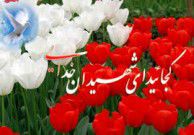 شهید مفقودالاثر ترکمن که به مادرش سفارش کرد بعد از شهادتش از دولت هیچ حقوقی نگیرد