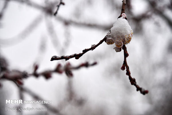 بارش برف و باران در گلستان/ بیشینه سرعت باد به ۷۰ کیلومتر می رسد

