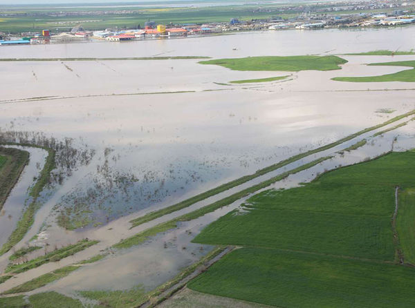 320 میلیارد تومان کمک بلاعوض جبران خسارت سیل بخش کشاورزی گلستان مصوب شده است