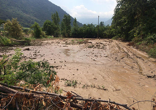 ۱۳۰ میلیارد ریال خسارت وارده به کشاورزان آزاد شهری 