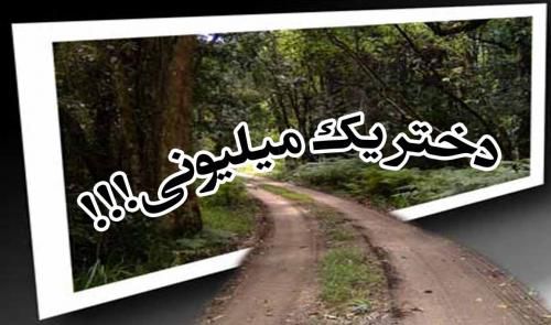 دختری یک میلیونی!!!