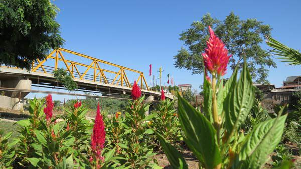 تصاوبر/فضای سبز زیبای پارک محله بناور سیمین شهر