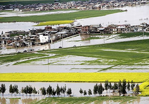 نجات خلیج گرگان در انتظار تصمیم محیط زیست