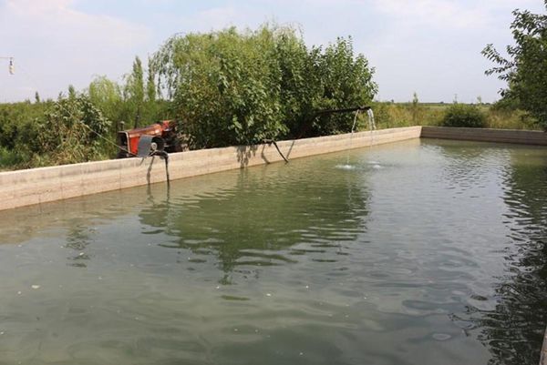 استفاده بهینه از آب چاههای کشاورزی در راستای پرورش ماهی