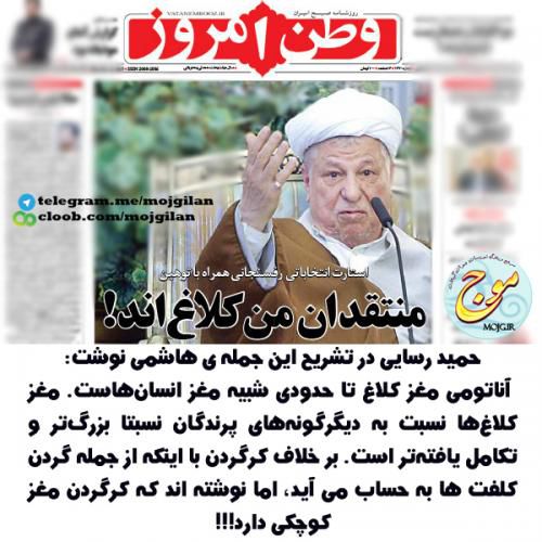 کلاغ ها چه ویژگی هایی دارند