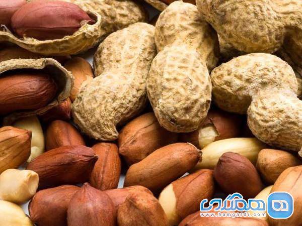 فواید و مضرات بادام زمینی
